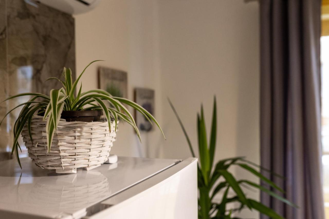 Studio Apartman Planb, Self Check In オシエク エクステリア 写真